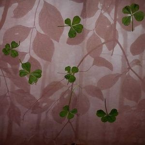 Meet your Posher, Tamlyn